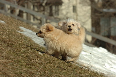 Feb21_07_093.JPG