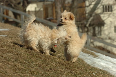 Feb21_07_104.JPG