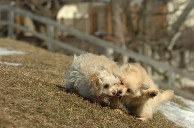 Feb21_07_107.JPG