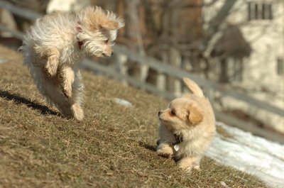 Feb21_07_109.JPG