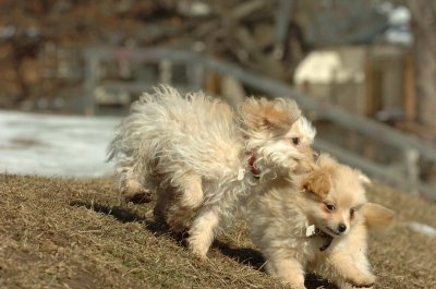 Feb21_07_110.JPG