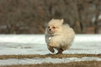 Feb21_07_112.JPG