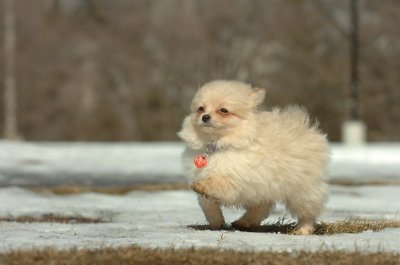 Feb21_07_113.JPG