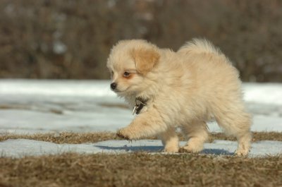 Feb21_07_114.JPG