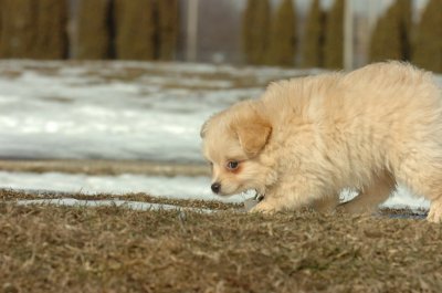 Feb21_07_116.JPG