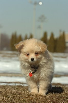 Feb21_07_117.JPG