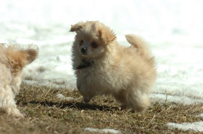 Feb21_07_120.JPG