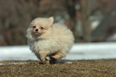 Feb21_07_124.JPG