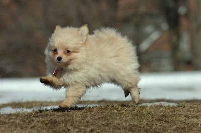 Feb21_07_125.JPG