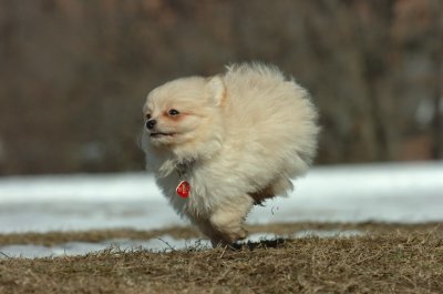 Feb21_07_126.JPG