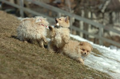 Feb21_07_128.JPG