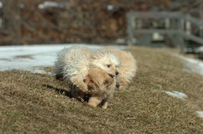 Feb21_07_137.JPG
