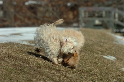 Feb21_07_138.JPG