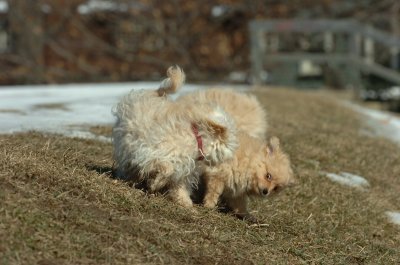 Feb21_07_139.JPG