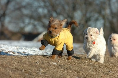 Feb23_07_275.JPG
