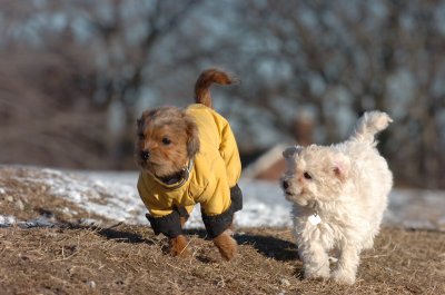 Feb23_07_279.JPG