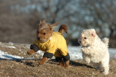 Feb23_07_280.JPG