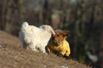 Feb23_07_282.JPG
