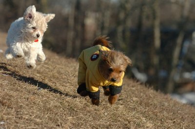 Feb23_07_285.JPG
