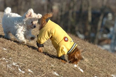 Feb23_07_287.JPG