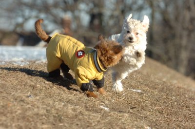 Feb23_07_288.JPG