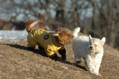 Feb23_07_289.JPG
