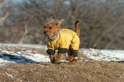 Feb23_07_290.JPG