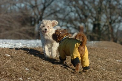 Feb23_07_294.JPG