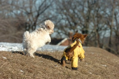 Feb23_07_297.JPG