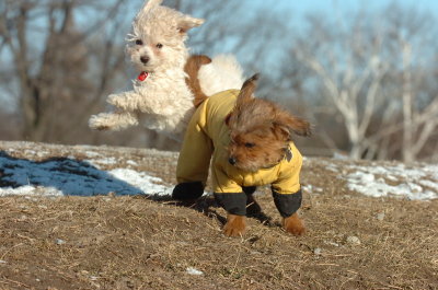 Feb23_07_306.JPG