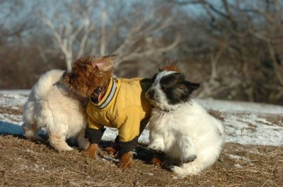 Feb23_07_311.JPG