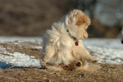 Feb23_07_314.JPG