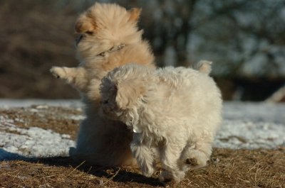 Feb23_07_316.JPG