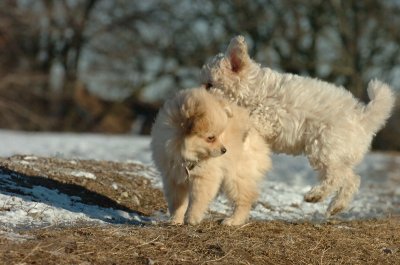 Feb23_07_323.JPG