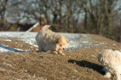 Feb23_07_325.JPG