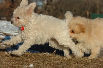 Feb23_07_326.JPG