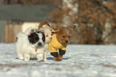 Feb23_07_330.JPG
