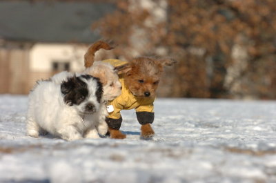 Feb23_07_331.JPG