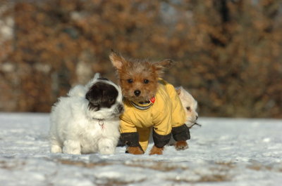 Feb23_07_336.JPG