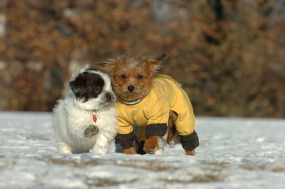 Feb23_07_337.JPG