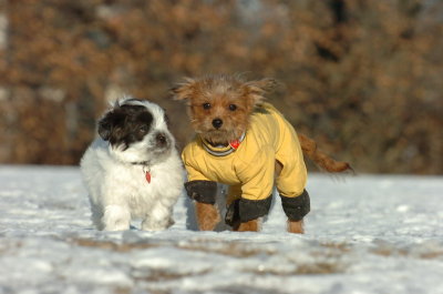 Feb23_07_338.JPG