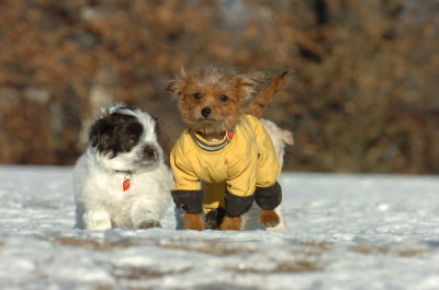 Feb23_07_339.JPG
