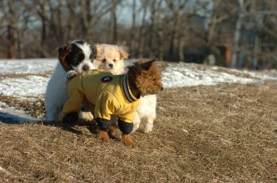 Feb23_07_341.JPG