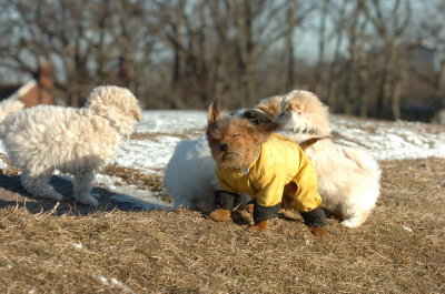 Feb23_07_344.JPG