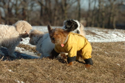 Feb23_07_346.JPG
