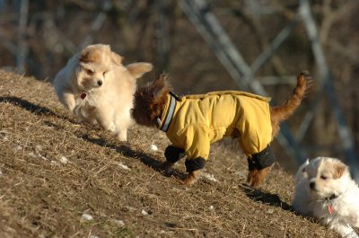 Feb23_07_352.JPG