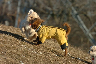 Feb23_07_354.JPG