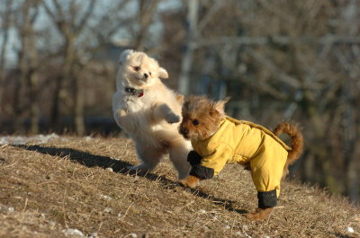 Feb23_07_356.JPG