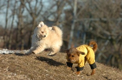 Feb23_07_357.JPG