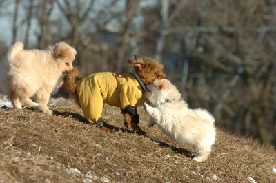 Feb23_07_358.JPG